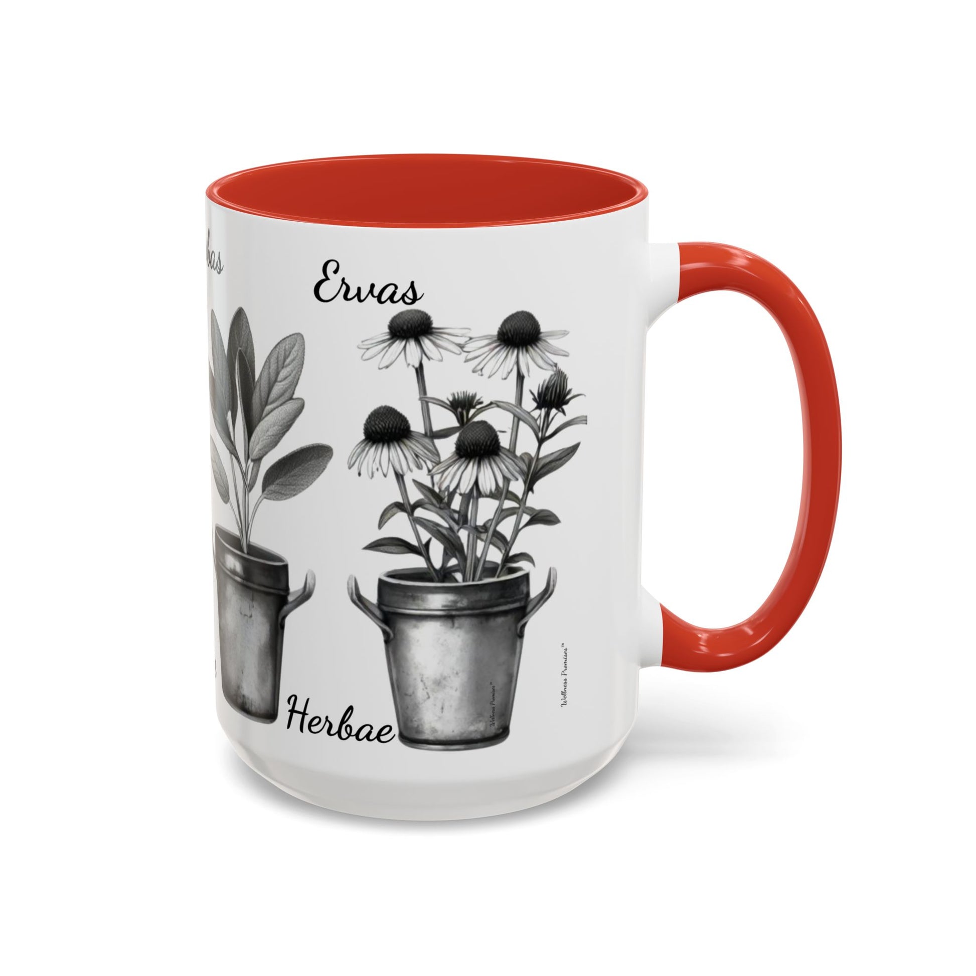 Herb Garden Accent Coffee Mug (Black & White Design) - Green Handle, Botanical Print, Perfect Gift for Plant Lovers, Housewarming, Kitchen Decor, Mother's [...]