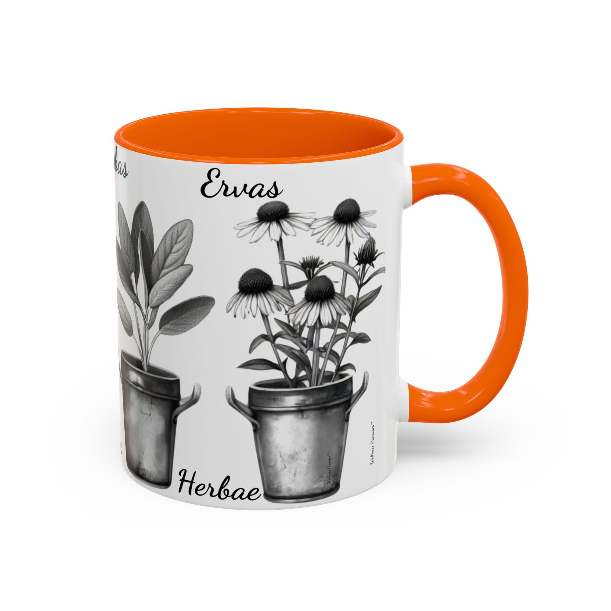 Herb Garden Accent Coffee Mug (Black & White Design) - Green Handle, Botanical Print, Perfect Gift for Plant Lovers, Housewarming, Kitchen Decor, Mother's [...]