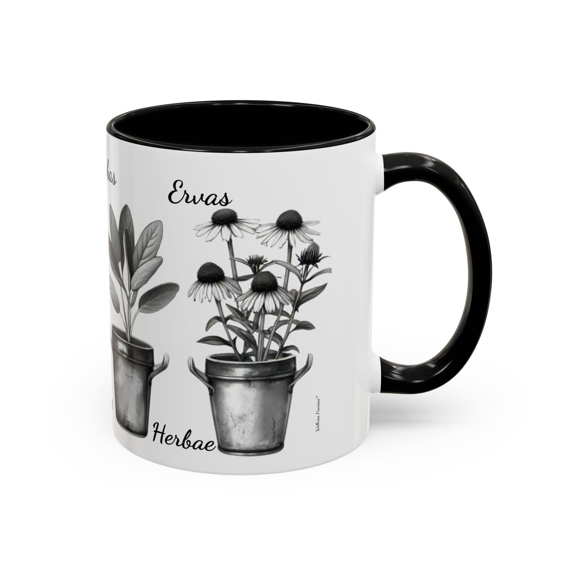 Herb Garden Accent Coffee Mug (Black & White Design) - Green Handle, Botanical Print, Perfect Gift for Plant Lovers, Housewarming, Kitchen Decor, Mother's [...]