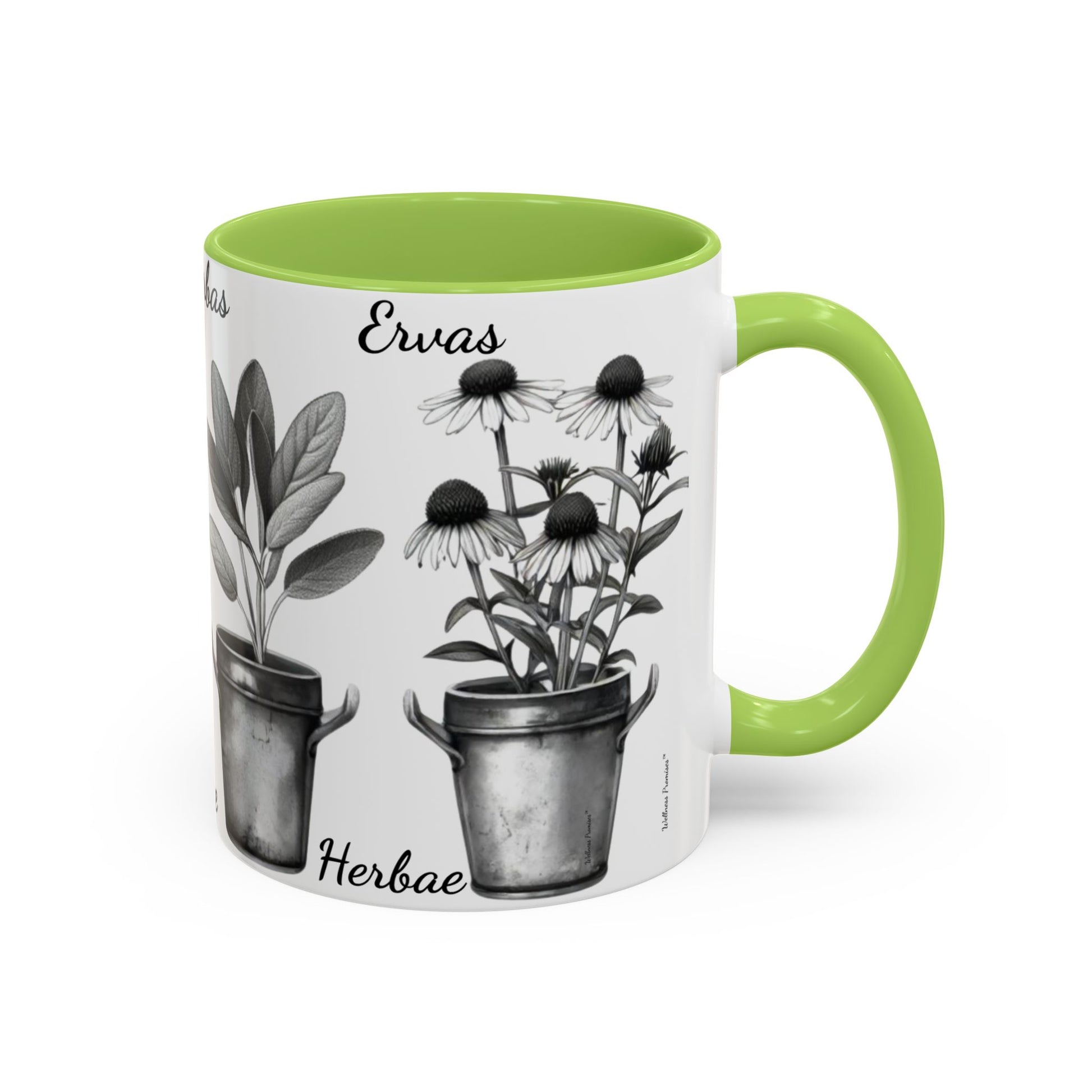 Herb Garden Accent Coffee Mug (Black & White Design) - Green Handle, Botanical Print, Perfect Gift for Plant Lovers, Housewarming, Kitchen Decor, Mother's [...]