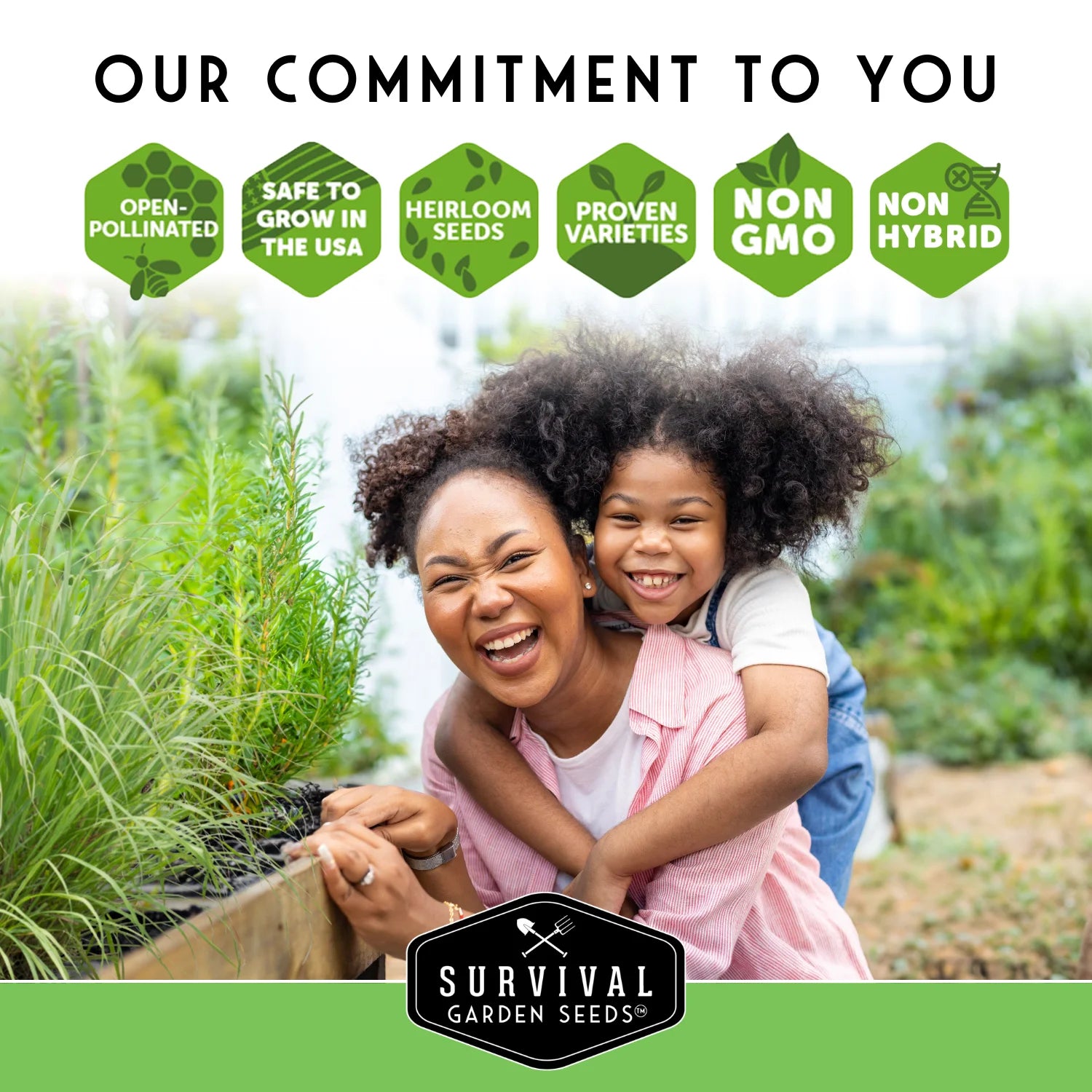 Medicinal Herb Seed Collection — 36 Healing Heirloom Varieties, Perennial