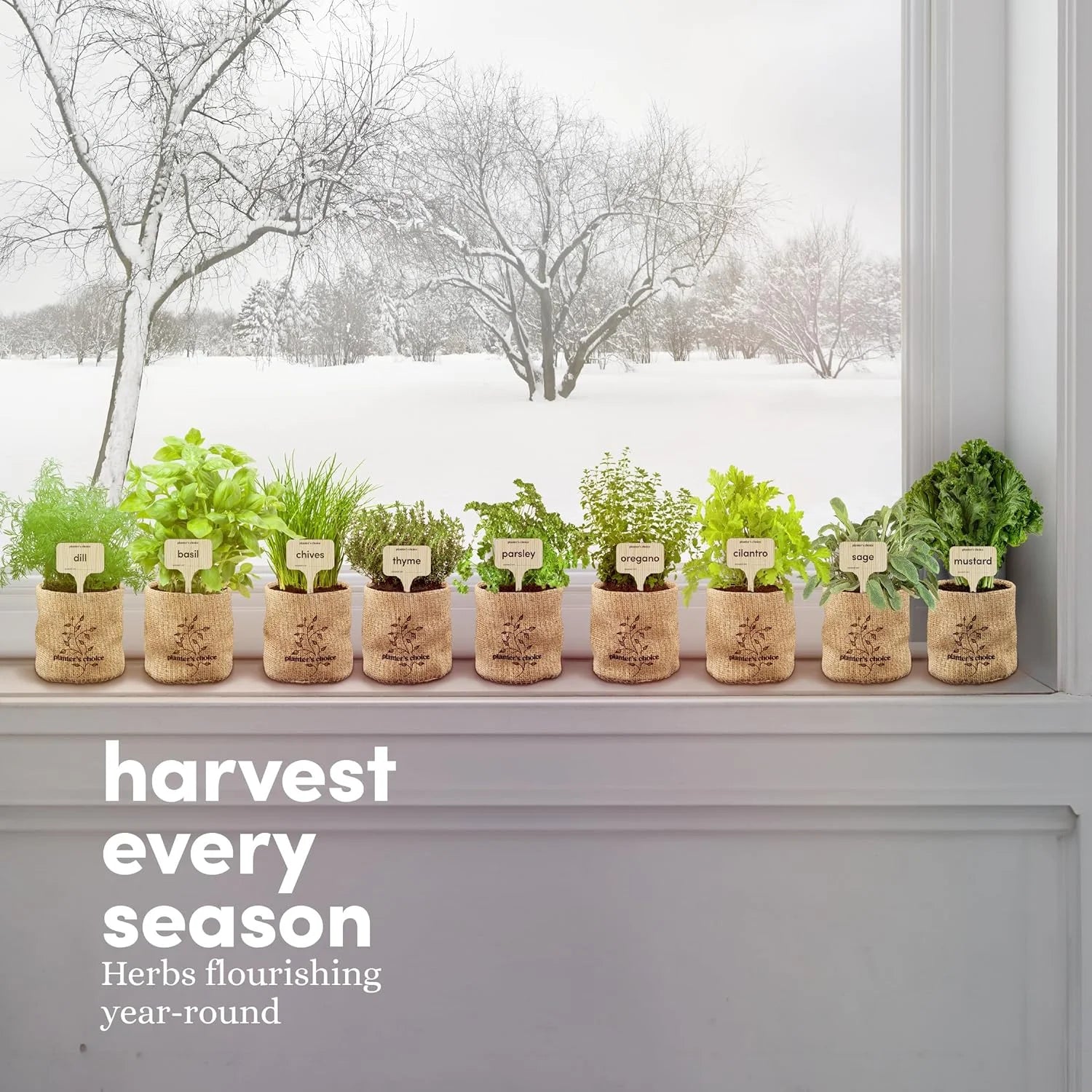 Planters' Choice Herb Plant Growing Kit with Seed-Safe Packets (9 Count)