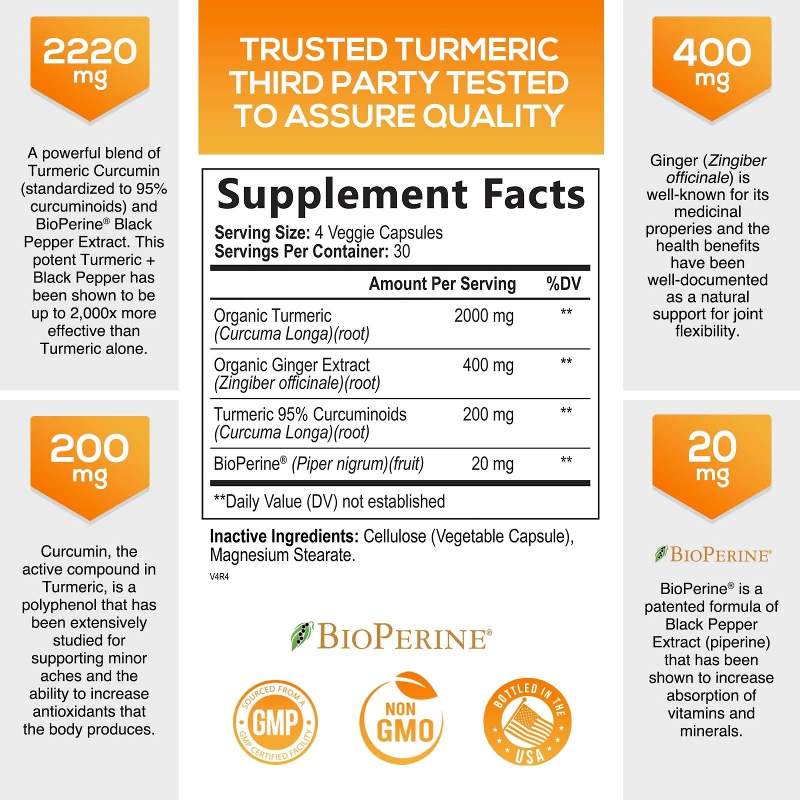 Turmeric Supplement Curcumin 2600Mg - with Organic Ginger & Turmeric, Bioperine Black Pepper Extract 95% Curcuminoids - Advanced Absorption Antioxidant & Joint Support - Vegan - 120 Capsules