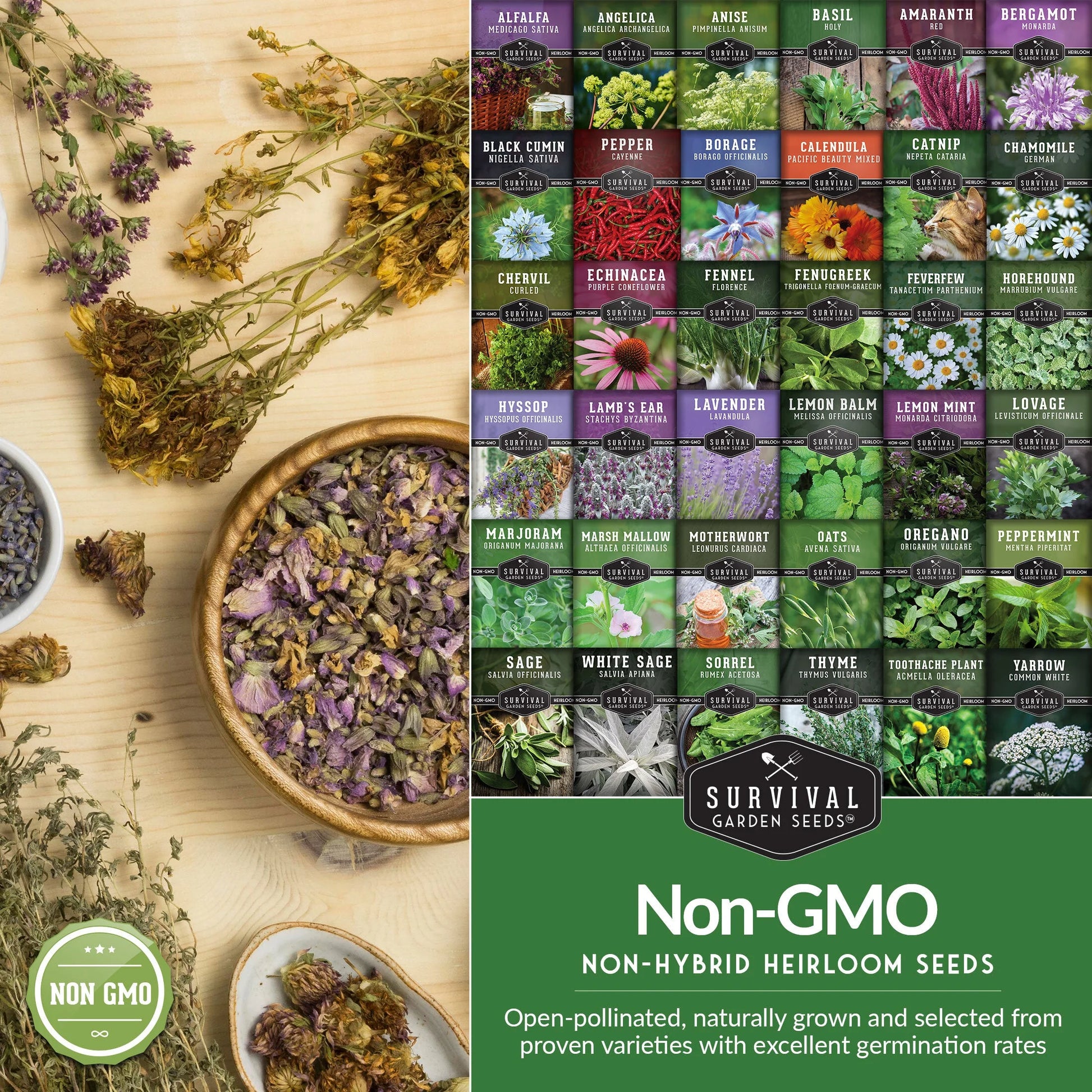 Medicinal Herb Seed Collection — 36 Healing Heirloom Varieties, Perennial
