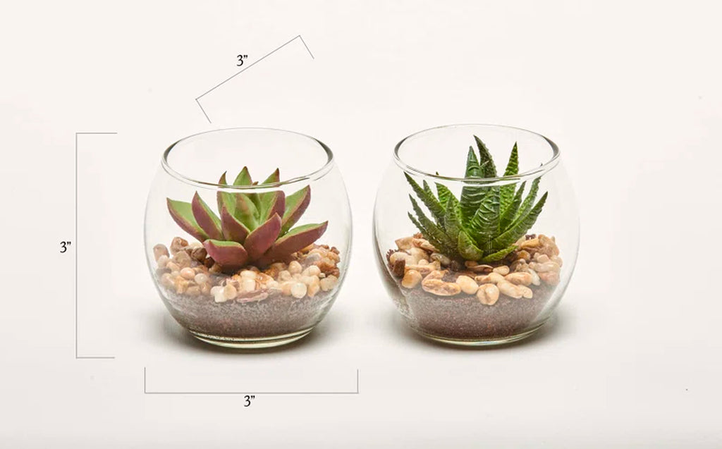 3'' Faux Aloe Plant in Glass Pot