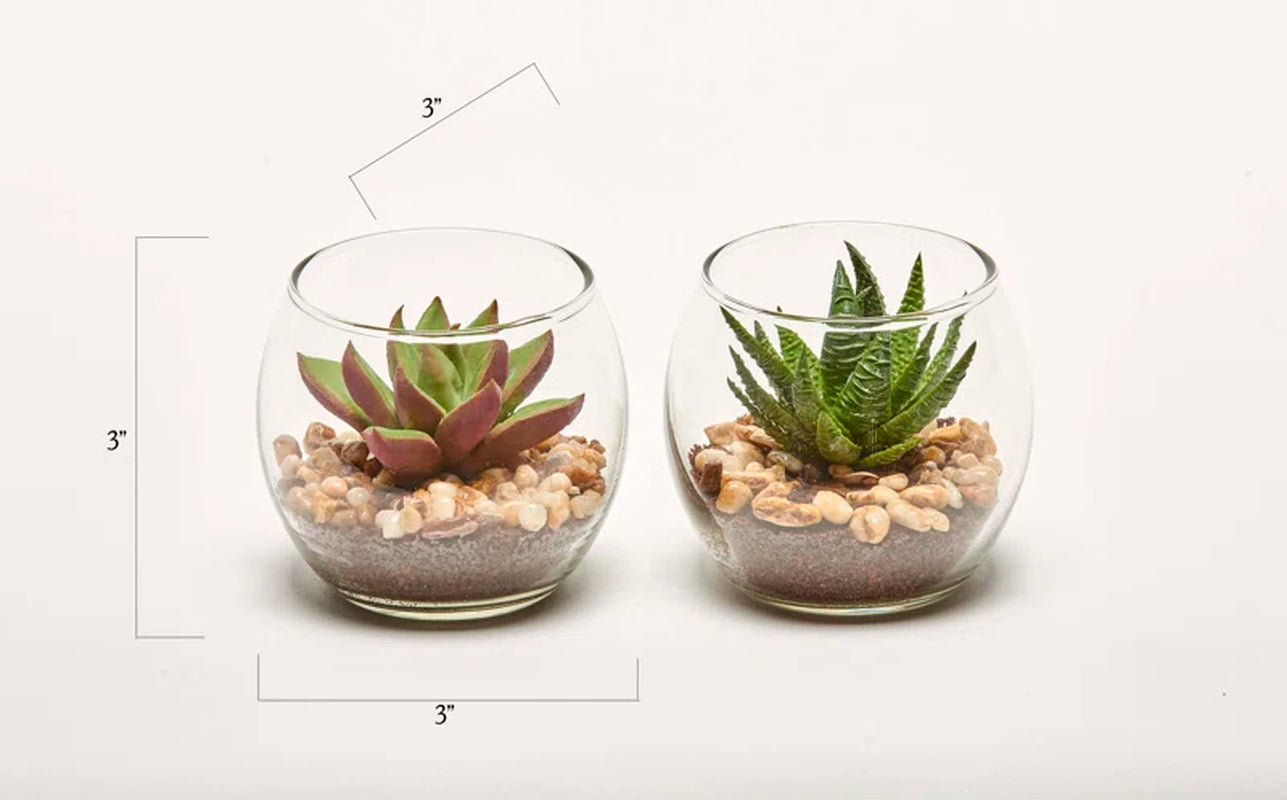 3'' Faux Aloe Plant in Glass Pot