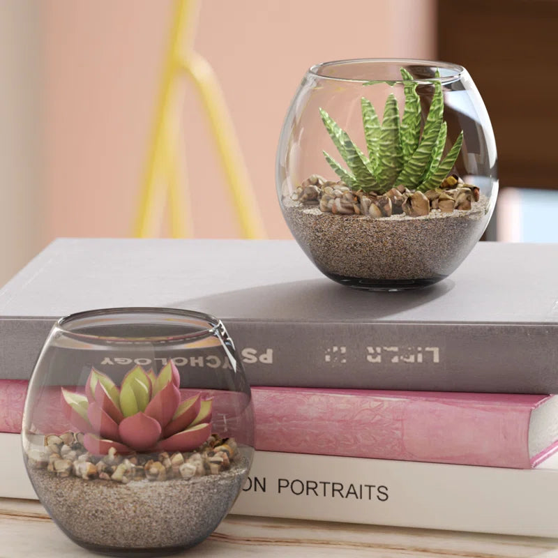 3'' Faux Aloe Plant in Glass Pot
