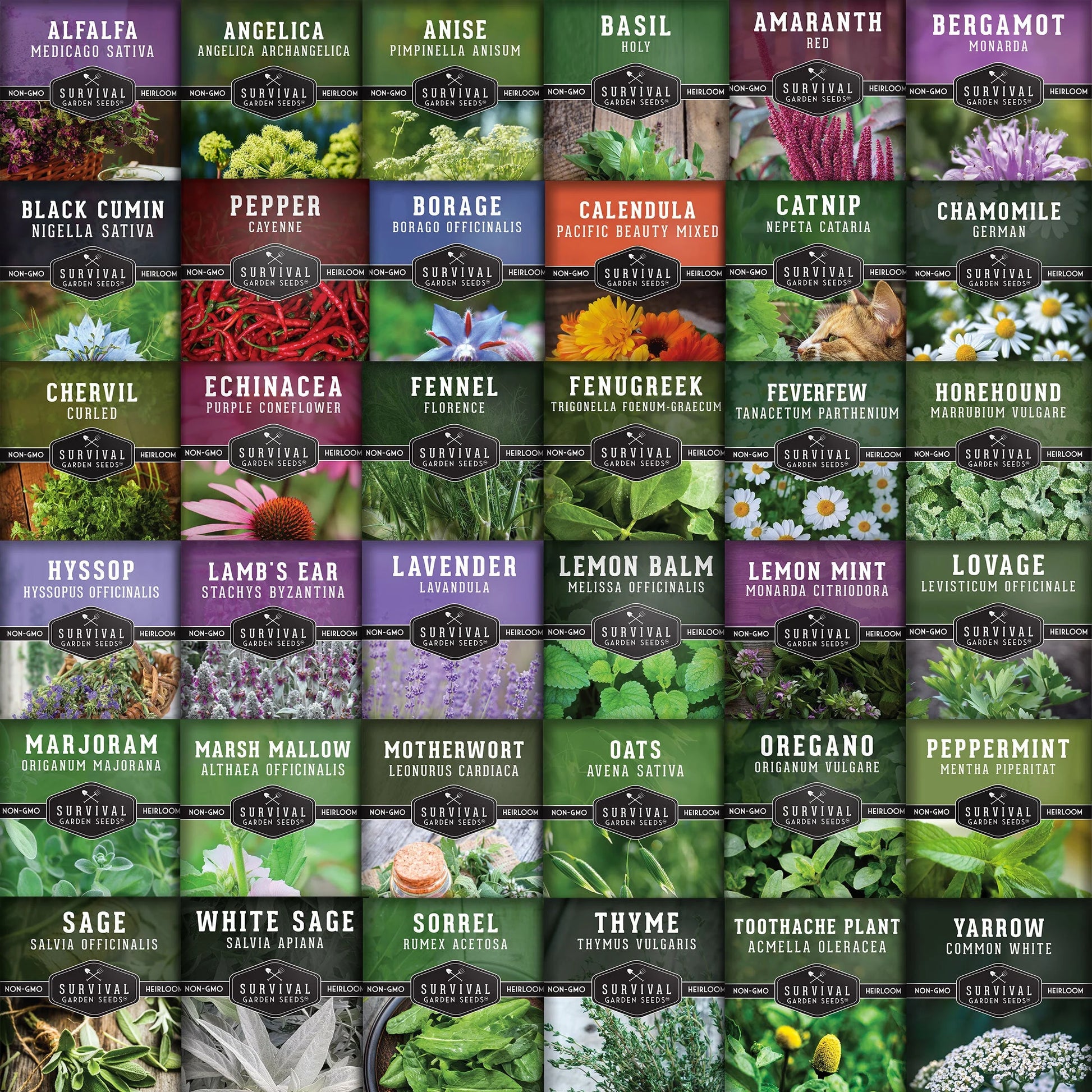 Medicinal Herb Seed Collection — 36 Healing Heirloom Varieties, Perennial