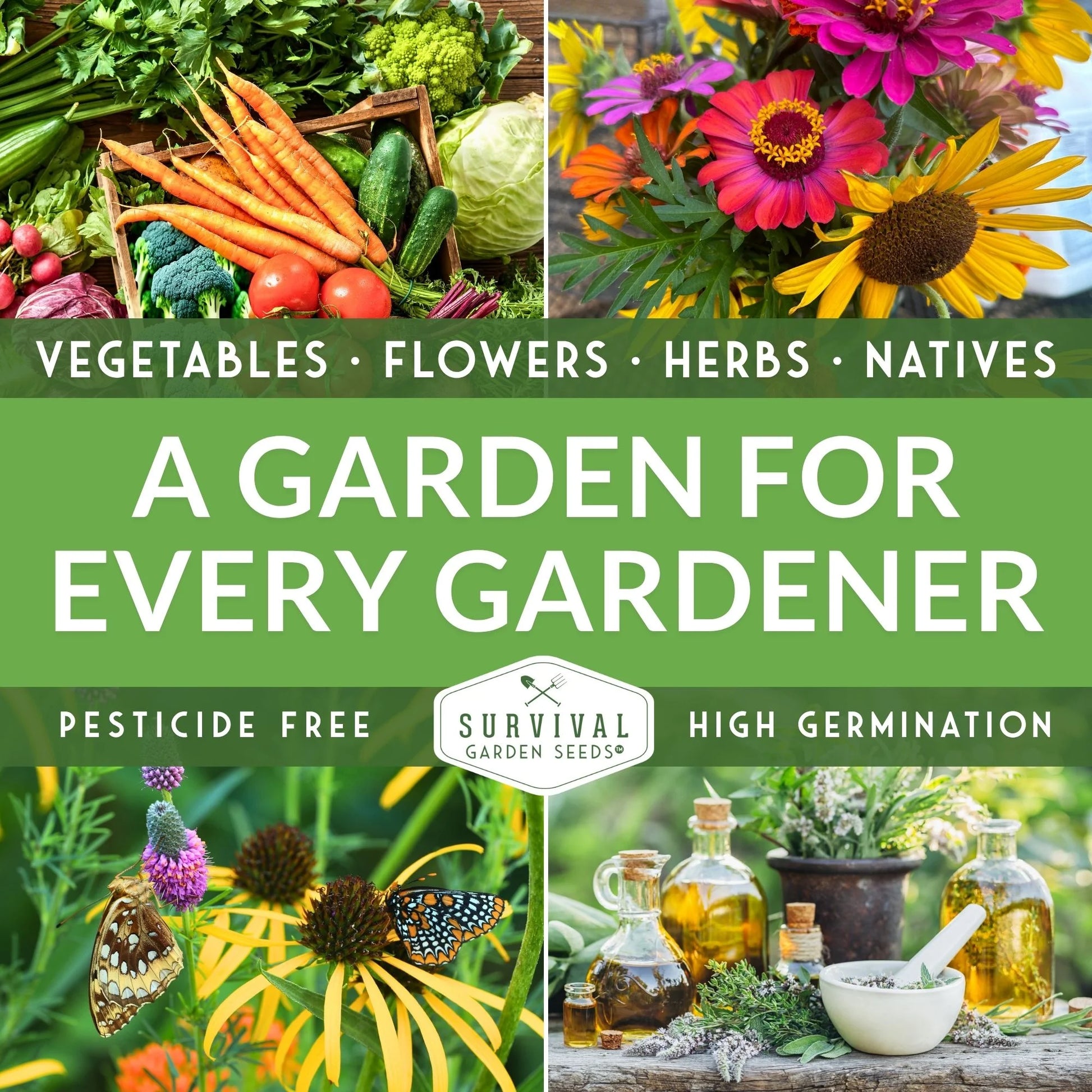 Medicinal Herb Seed Collection — 36 Healing Heirloom Varieties, Perennial