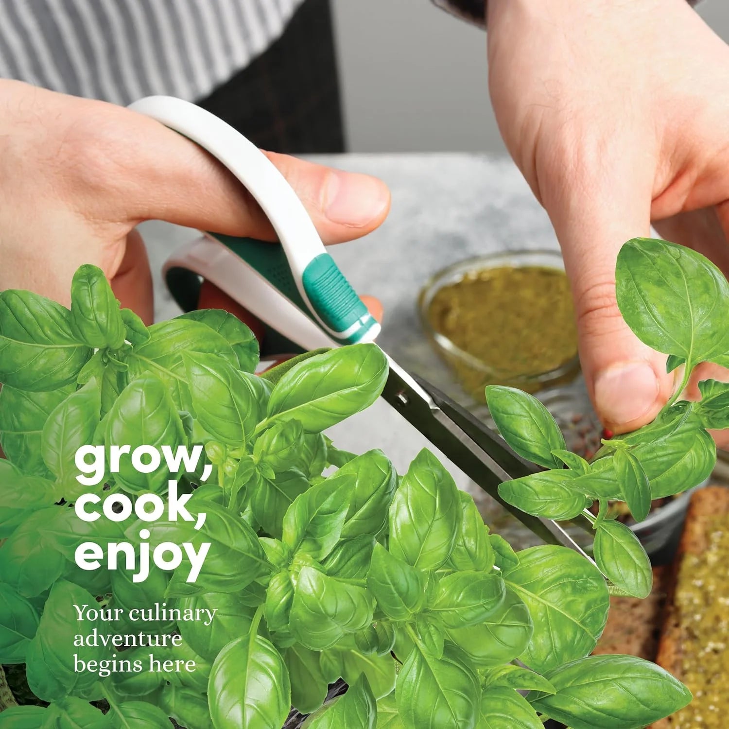 Planters' Choice Herb Plant Growing Kit with Seed-Safe Packets (9 Count)